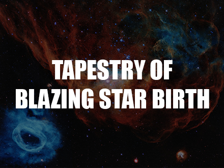 Facts About The Tapestry of Blazing Star Birth