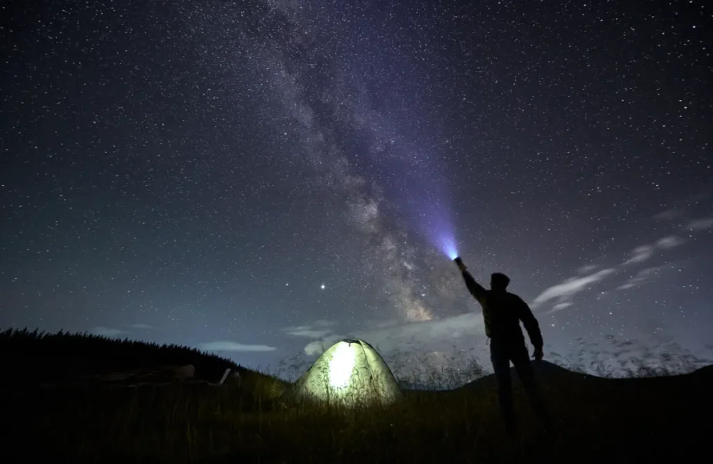 Gaze upon the Plough Constellation Stars with Picture the Star