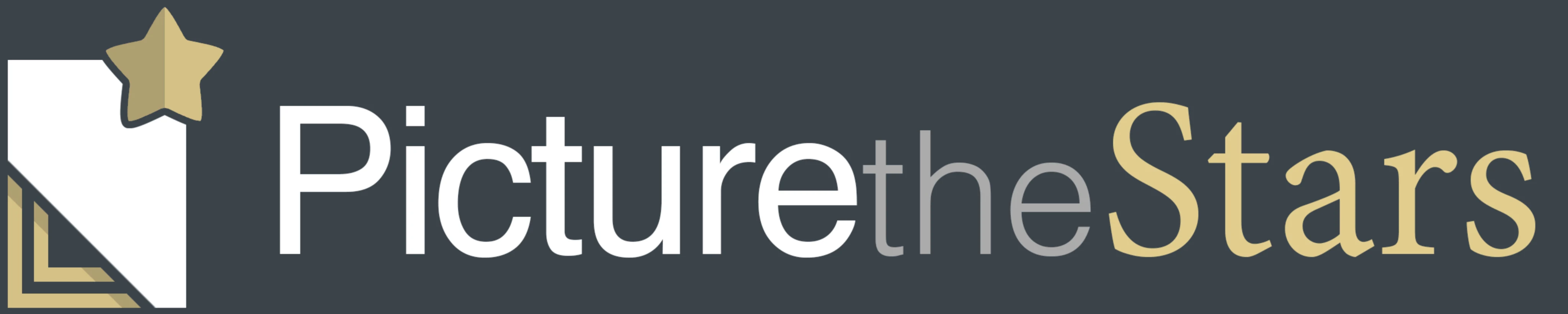 Picture The Stars logo
